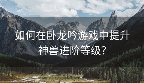 如何在卧龙吟游戏中提升神兽进阶等级？