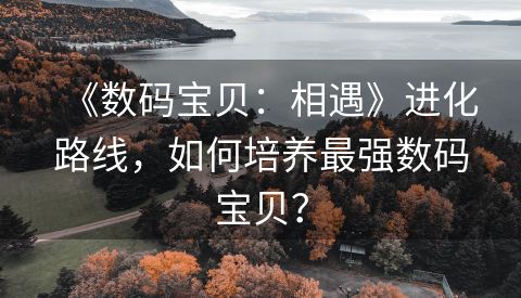 《数码宝贝：相遇》进化路线，如何培养最强数码宝贝？