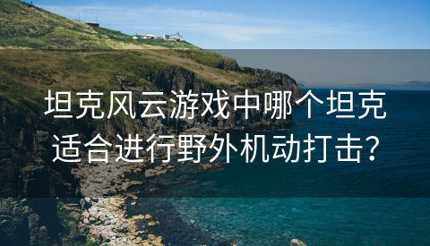 坦克风云游戏中哪个坦克适合进行野外机动打击？