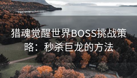 猎魂觉醒世界BOSS挑战策略：秒杀巨龙的方法