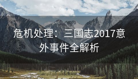 危机处理：三国志2017意外事件全解析