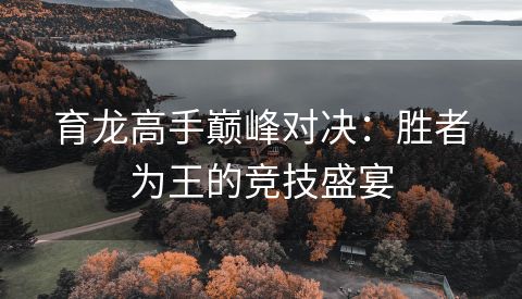 育龙高手巅峰对决：胜者为王的竞技盛宴