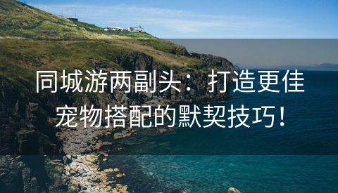 同城游两副头：打造更佳宠物搭配的默契技巧！