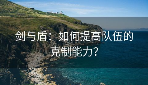 剑与盾：如何提高队伍的克制能力？