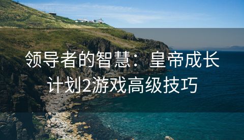 领导者的智慧：皇帝成长计划2游戏高级技巧