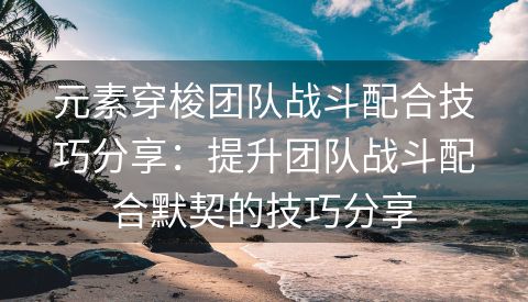 元素穿梭团队战斗配合技巧分享：提升团队战斗配合默契的技巧分享