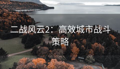 二战风云2：高效城市战斗策略