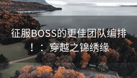 征服BOSS的更佳团队编排！：穿越之锦绣缘