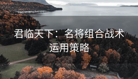 君临天下：名将组合战术运用策略