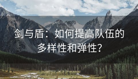 剑与盾：如何提高队伍的多样性和弹性？