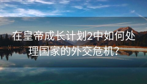 在皇帝成长计划2中如何处理国家的外交危机？