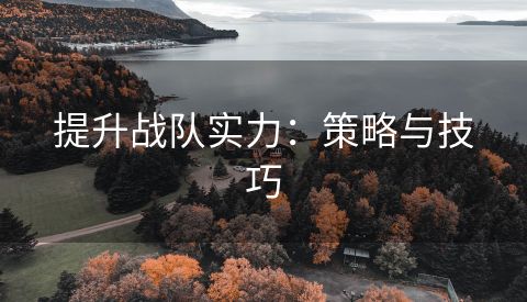 提升战队实力：策略与技巧