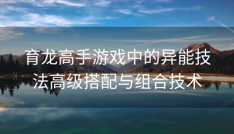 育龙高手游戏中的异能技法高级搭配与组合技术