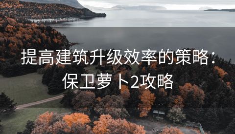 提高建筑升级效率的策略：保卫萝卜2攻略