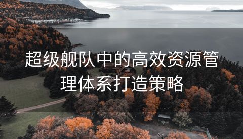 超级舰队中的高效资源管理体系打造策略