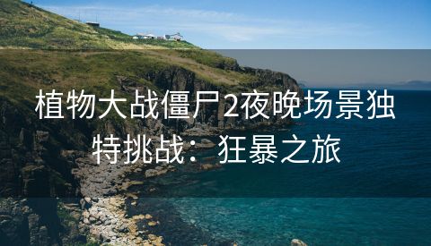 植物大战僵尸2夜晚场景独特挑战：狂暴之旅