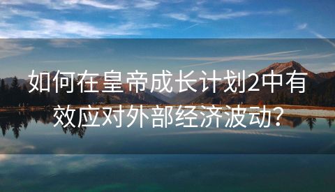 如何在皇帝成长计划2中有效应对外部经济波动？