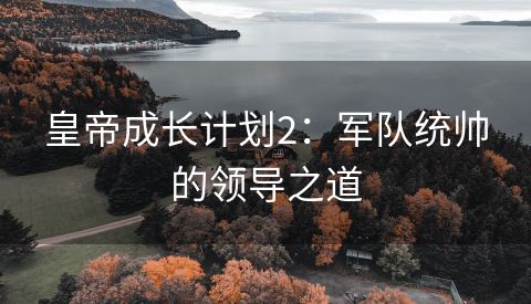 皇帝成长计划2：军队统帅的领导之道