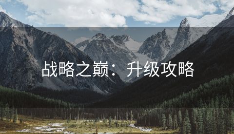 战略之巅：升级攻略