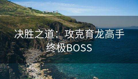 决胜之道：攻克育龙高手终极BOSS