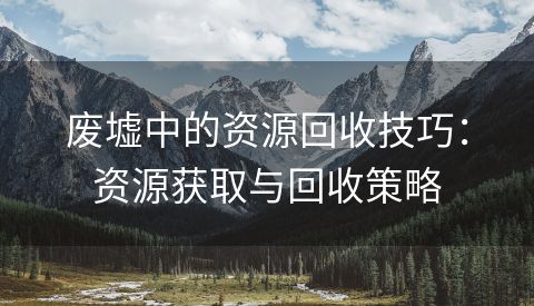 废墟中的资源回收技巧：资源获取与回收策略