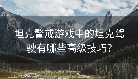 坦克警戒游戏中的坦克驾驶有哪些高级技巧？