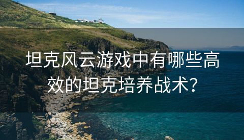 坦克风云游戏中有哪些高效的坦克培养战术？