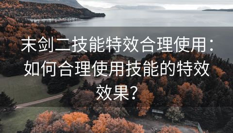 末剑二技能特效合理使用：如何合理使用技能的特效效果？