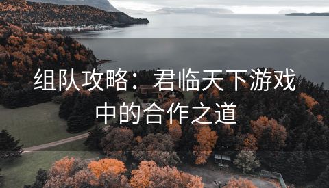 组队攻略：君临天下游戏中的合作之道