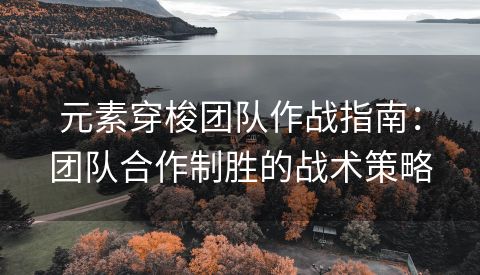 元素穿梭团队作战指南：团队合作制胜的战术策略