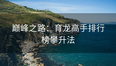 巅峰之路：育龙高手排行榜攀升法