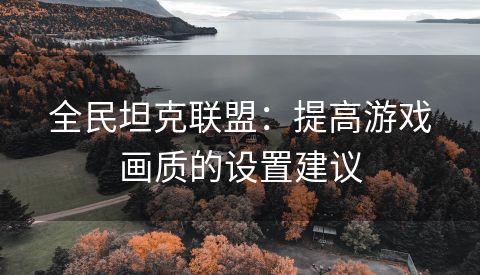 全民坦克联盟：提高游戏画质的设置建议