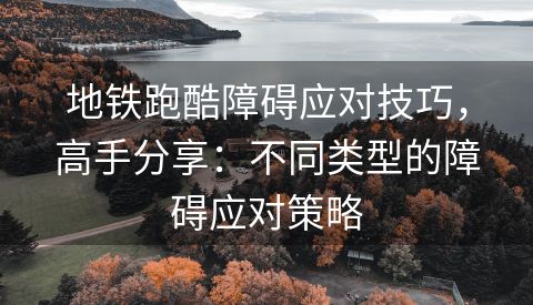 地铁跑酷障碍应对技巧，高手分享：不同类型的障碍应对策略