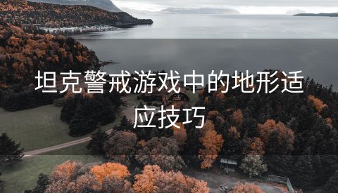 坦克警戒游戏中的地形适应技巧