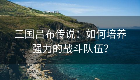 三国吕布传说：如何培养强力的战斗队伍？