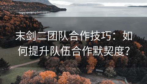 末剑二团队合作技巧：如何提升队伍合作默契度？