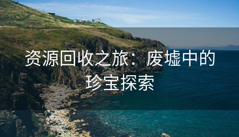 资源回收之旅：废墟中的珍宝探索