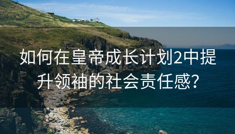 如何在皇帝成长计划2中提升领袖的社会责任感？