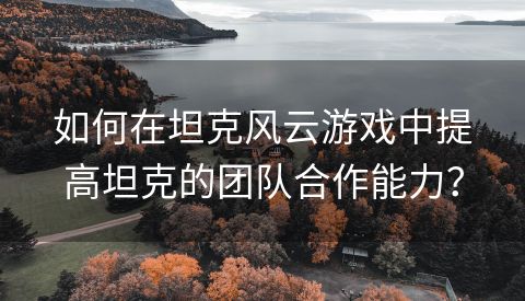 如何在坦克风云游戏中提高坦克的团队合作能力？