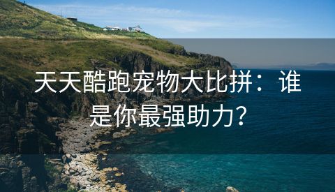 天天酷跑宠物大比拼：谁是你最强助力？