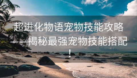 超进化物语宠物技能攻略——揭秘最强宠物技能搭配！