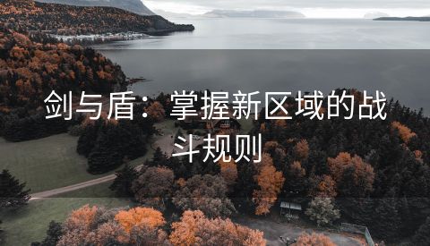 剑与盾：掌握新区域的战斗规则