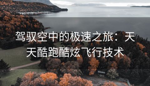 驾驭空中的极速之旅：天天酷跑酷炫飞行技术