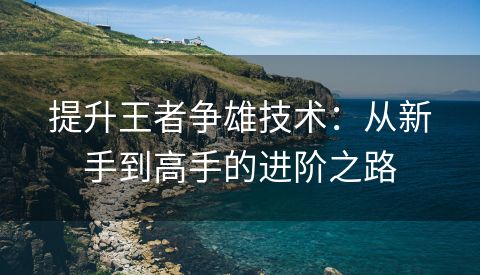 提升王者争雄技术：从新手到高手的进阶之路