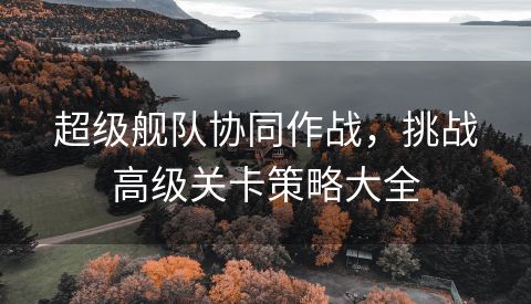 超级舰队协同作战，挑战高级关卡策略大全