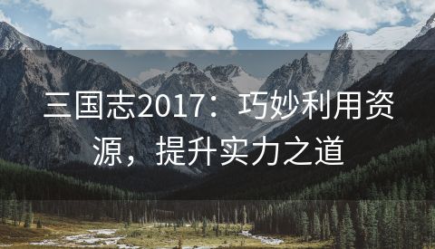 三国志2017：巧妙利用资源，提升实力之道