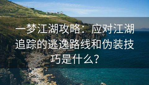 一梦江湖攻略：应对江湖追踪的逃逸路线和伪装技巧是什么？