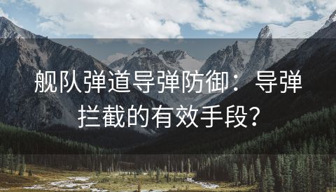 舰队弹道导弹防御：导弹拦截的有效手段？