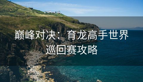 巅峰对决：育龙高手世界巡回赛攻略