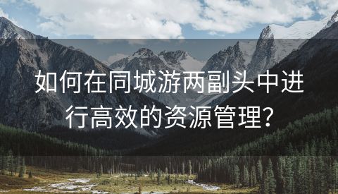 如何在同城游两副头中进行高效的资源管理？